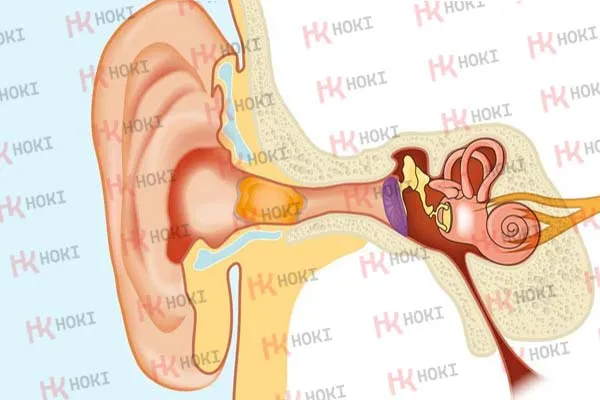 Bạn có lấy ráy tai tại nhà đúng cách? 9 phương pháp làm sạch