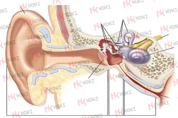 Đeo tai nghe nhiều và hậu quả nghiêm trọng