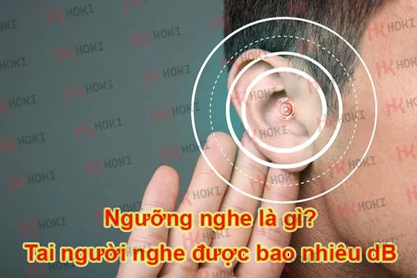 Ngưỡng nghe là gì? Tai người nghe được bao nhiêu dB