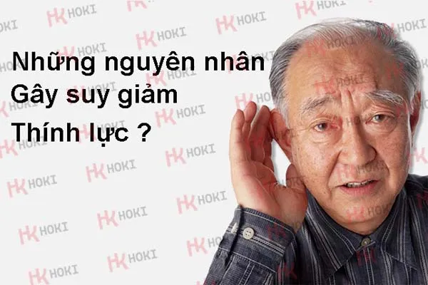 Nguyên nhân gây suy giảm thính lực ở người cao tuổi